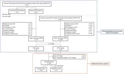 Investigating esophageal sarcomatoid carcinoma and its comparison with esophageal squamous cell carcinoma on clinicopathological characteristics, prognosis, and radiomics features: a retrospective study